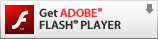 Installa Flash Player